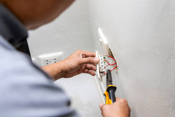 Best Electric Panel Repair  in St Francis, MN